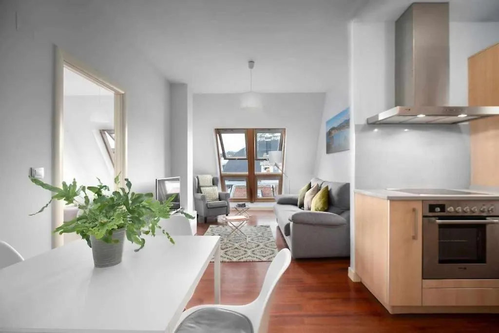 Apartment Atico Centro Para 3, Ac, Luz Y Comodidad San Sebastian